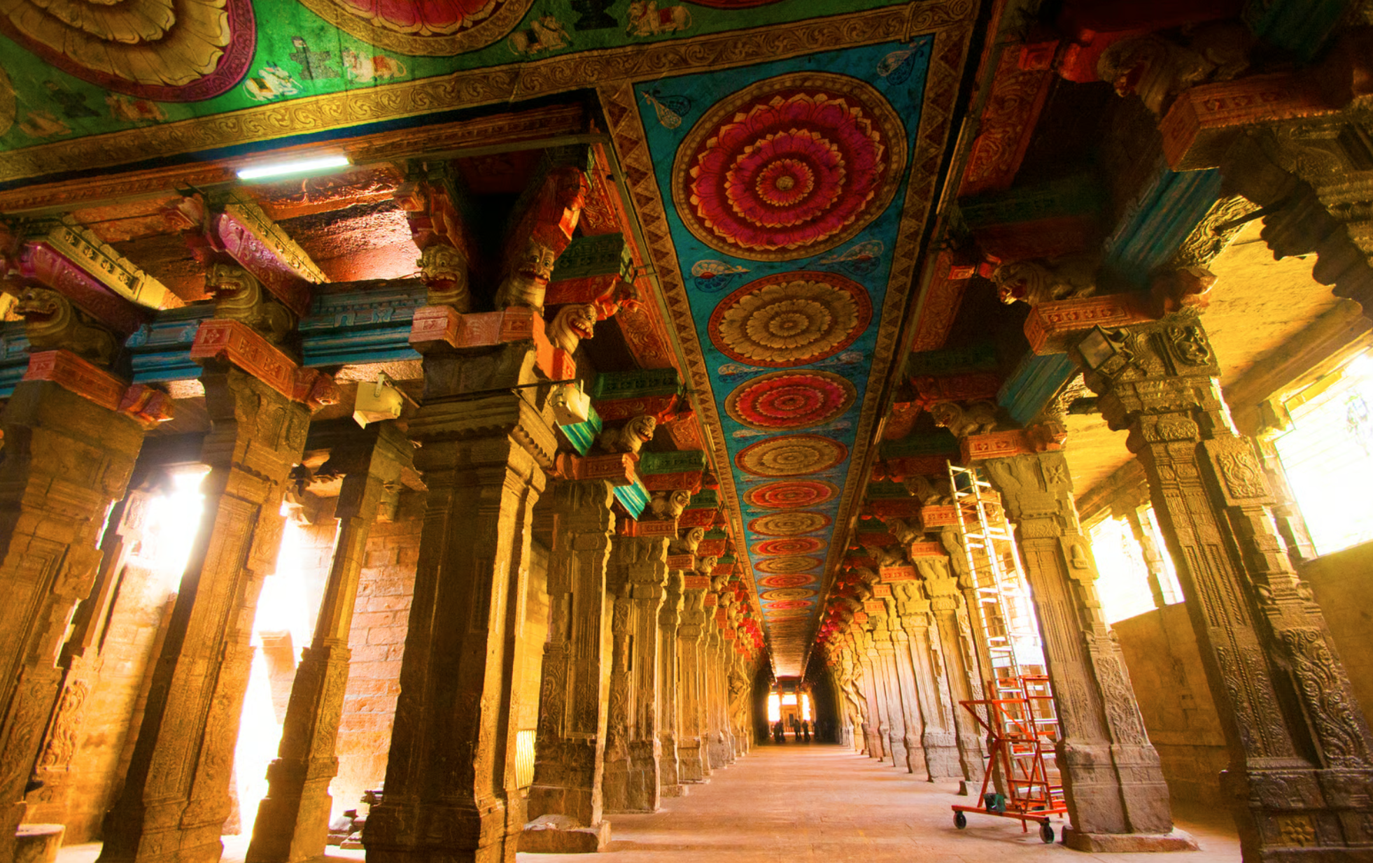 Gallery image 4